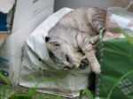 ん?何撮ってんの?